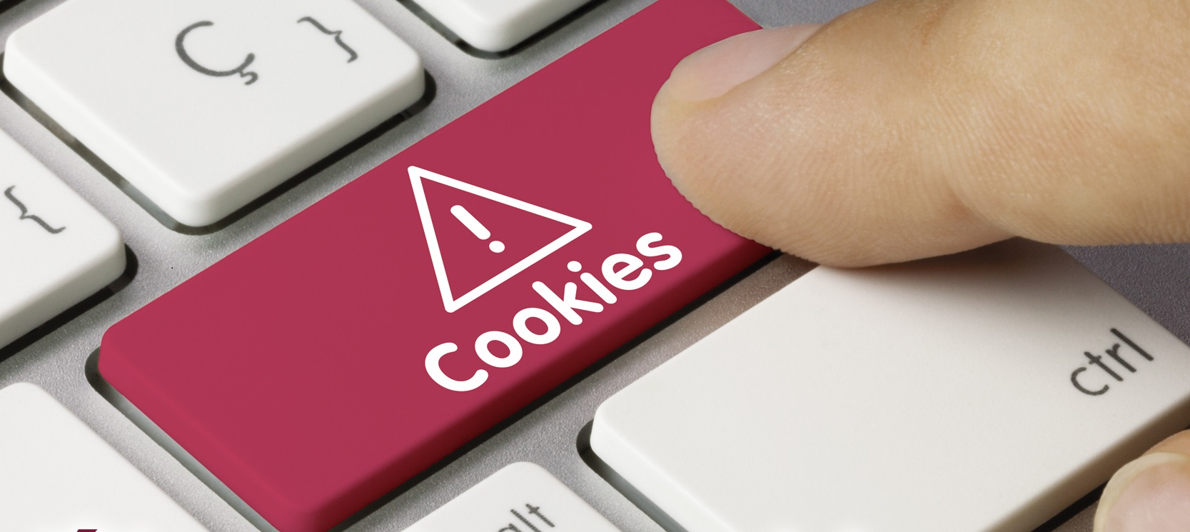 politica cookies
