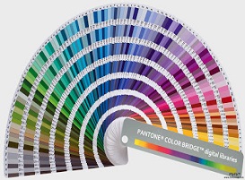 norma de colores pantone